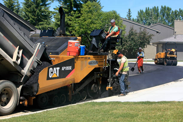 Best Driveway Pavers Near Me  in Carlisle, KY